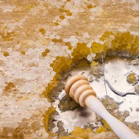 Regency Salgados & מלון 4*