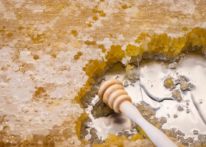 Regency Salgados & ホテル 4*